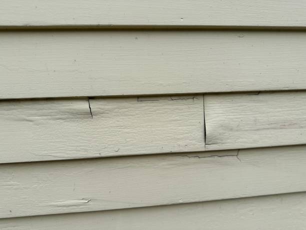 Best Siding for Commercial Buildings  in USA